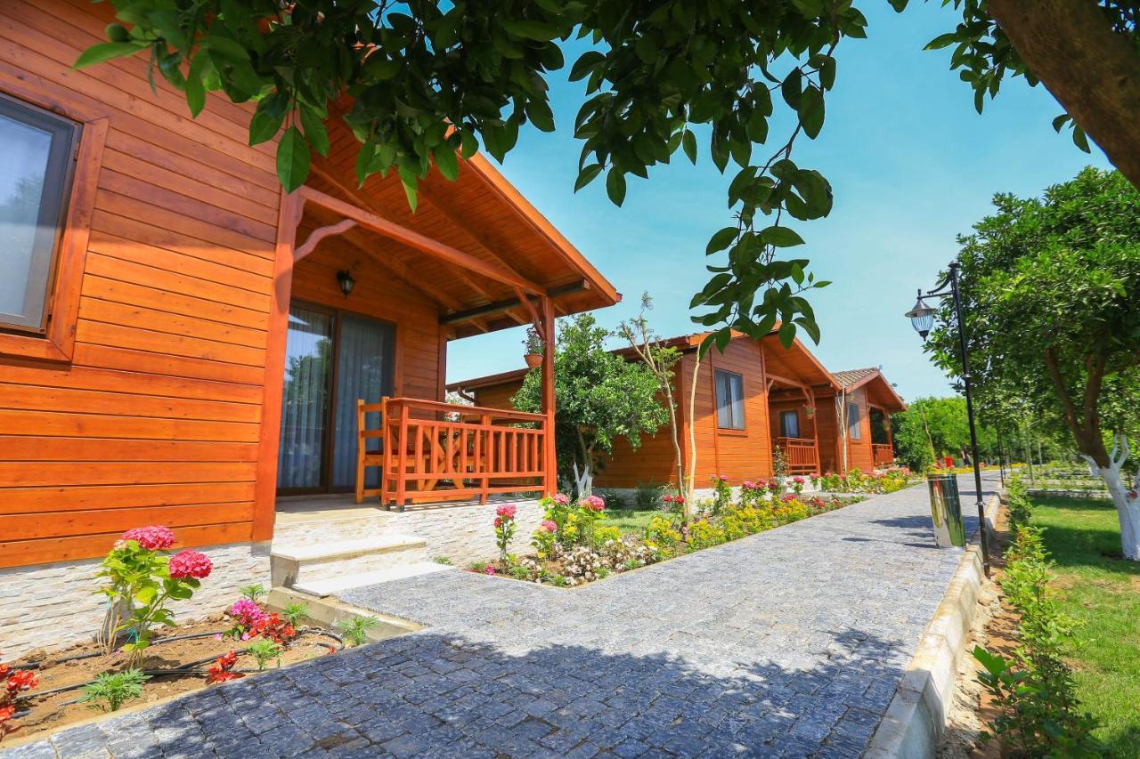 Merry Bungalow & Tent Çıralı Kültér fotó